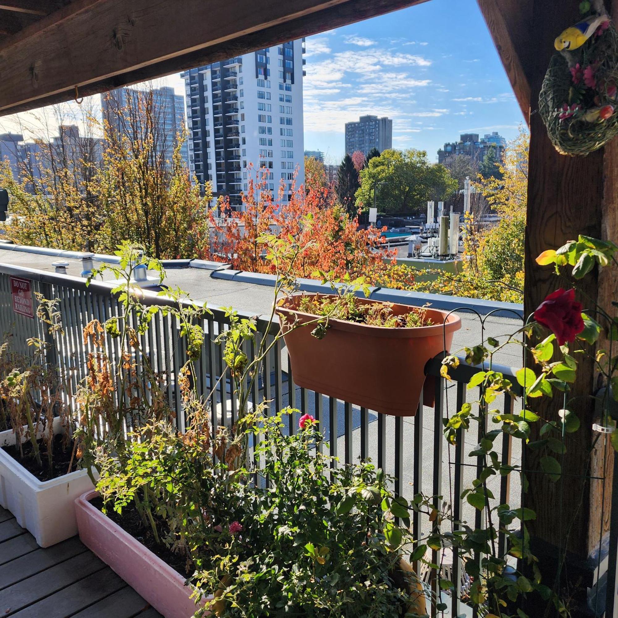 Times Square Suites Hotel Vancouver Buitenkant foto